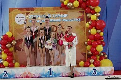 Открытый турнир по художественной гимнастике 